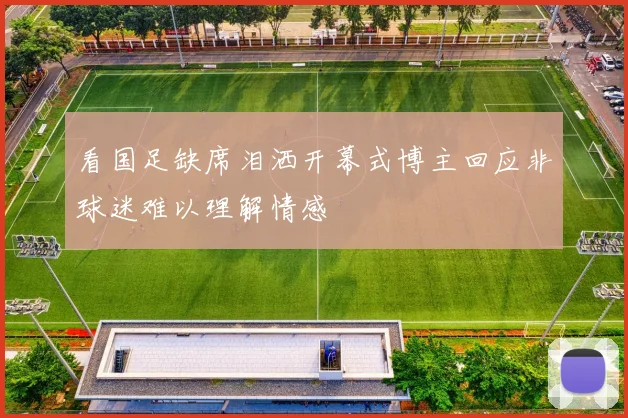 看国足缺席泪洒开幕式博主回应非球迷难以理解情感